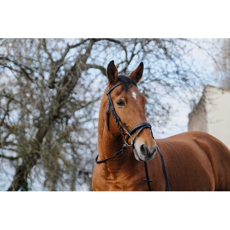 Bridon NORTON - TRAINING (Poney)