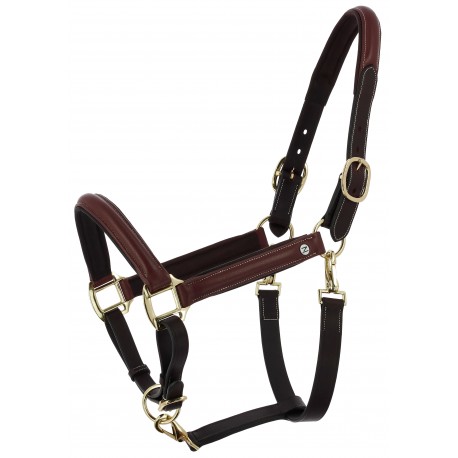 Licol grooming cuir huilé NORTON - Spring (Pur-sang/cob)
