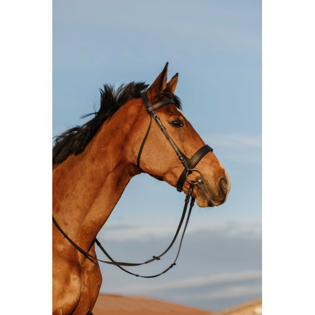 RIDING WORLD Bridon - Muserolle large (Pur-sang/cob)