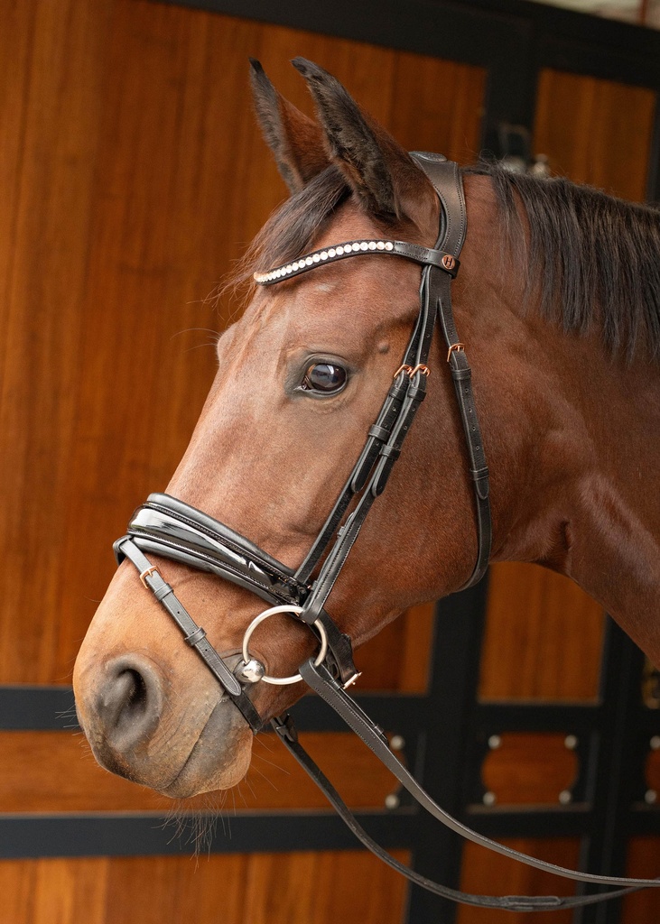 Bridon Rosegold Lacque II