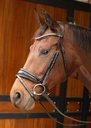 Bridon Rosegold Lacque II