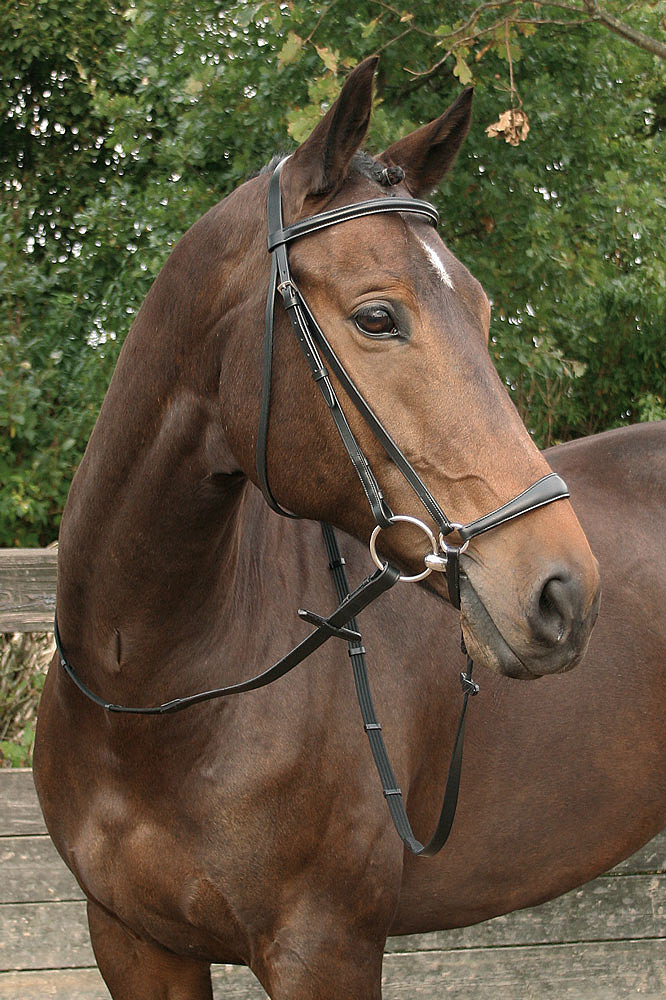 Bridon muserolle allemande, noir