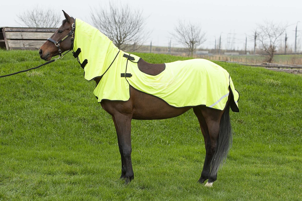 Chemise anti-mouches Mesh Pro Riding Reflective