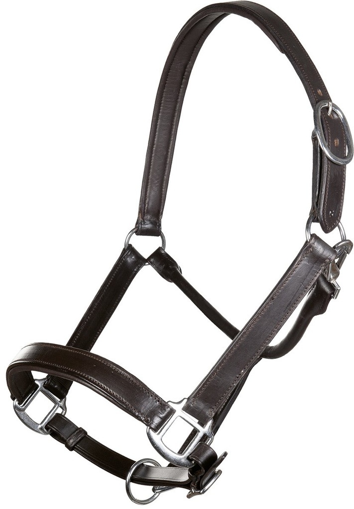 [127412400.0618] Licol en cuir -Economic- (Marron, Poney)