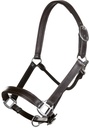 Licol en cuir -Economic-