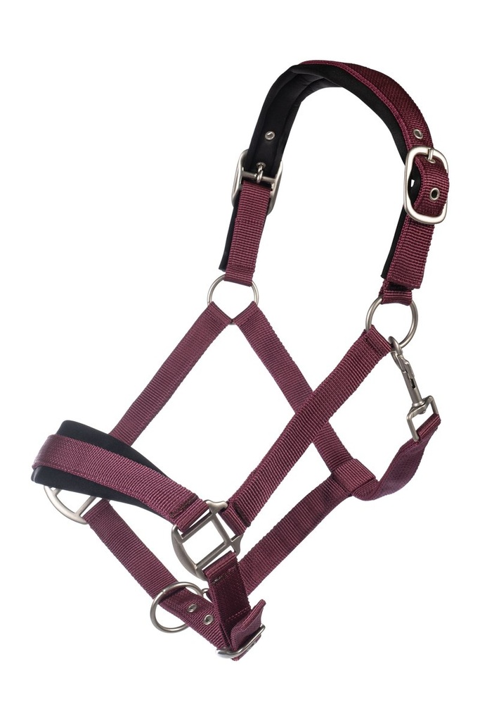 [150053296.0618] Licol -Samantha- (Bordeaux, Poney)