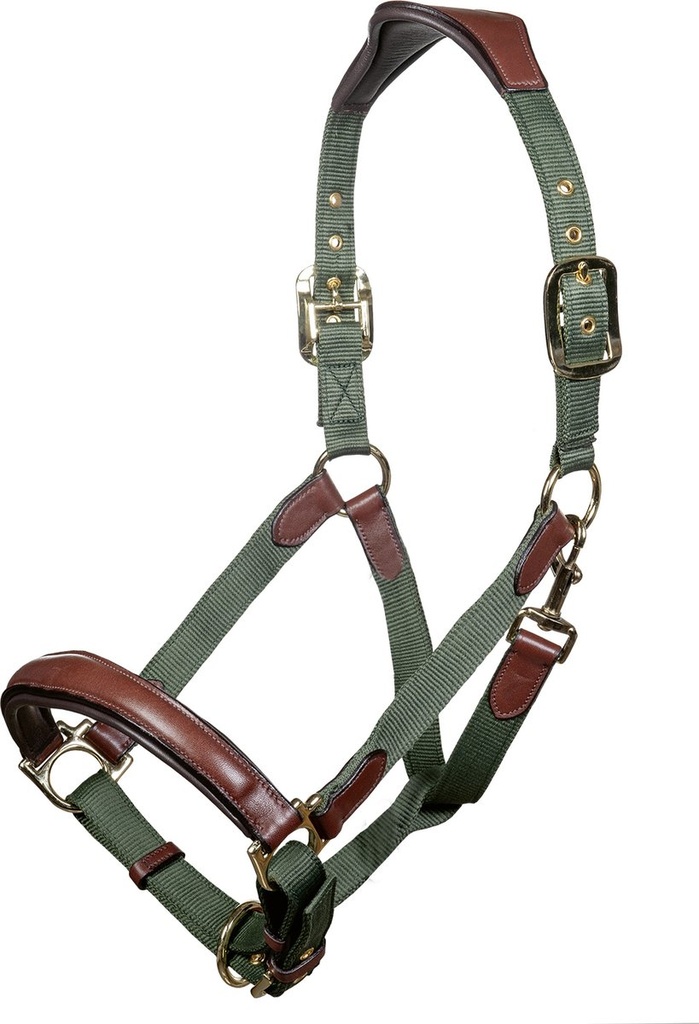 Licol -Luna- cuir et nylon (Vert/Brun, Poney)