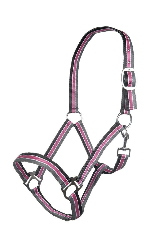 [101498523.0618] Licol -Genf- (Noir/Rose/gris, Poney)