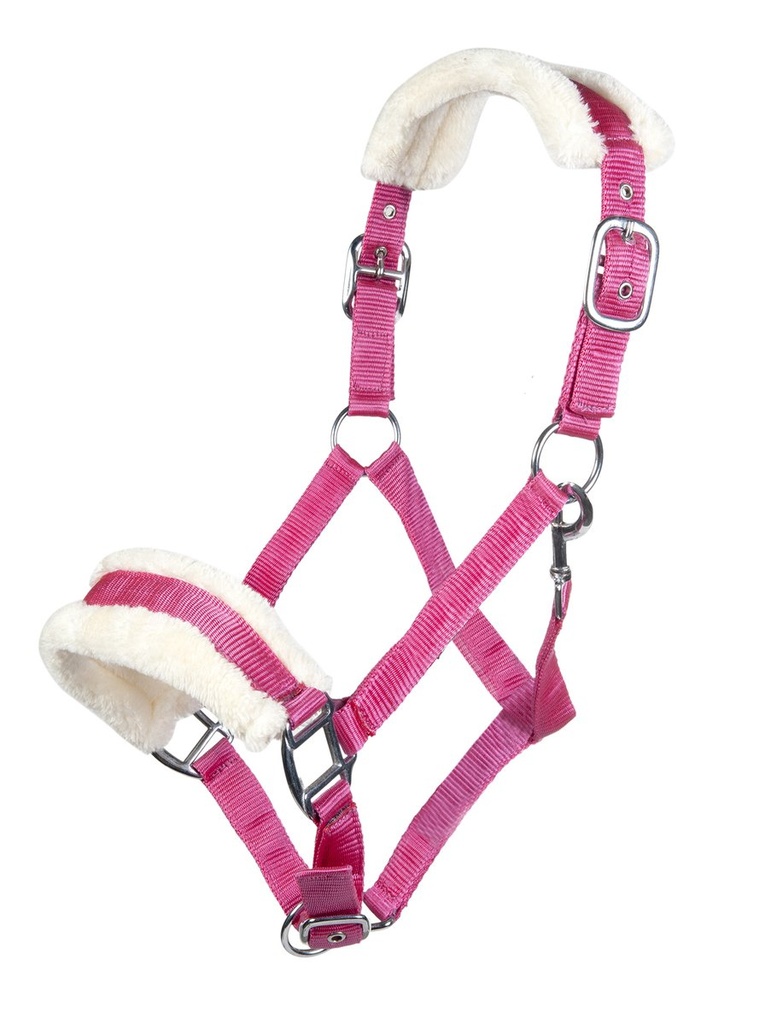 Licol -Bischofshofen-, rembourrage Teddy (Bleu ciel, Poney)