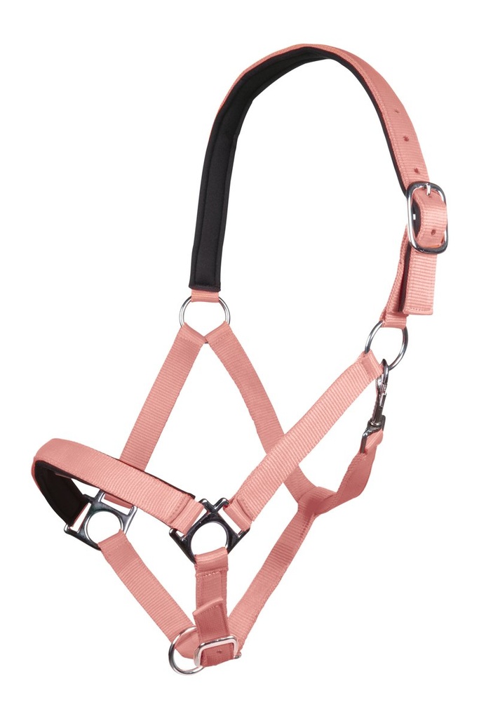 Licol -Stars Softice- avec rembourrage soft (Orange fluo, Poney)