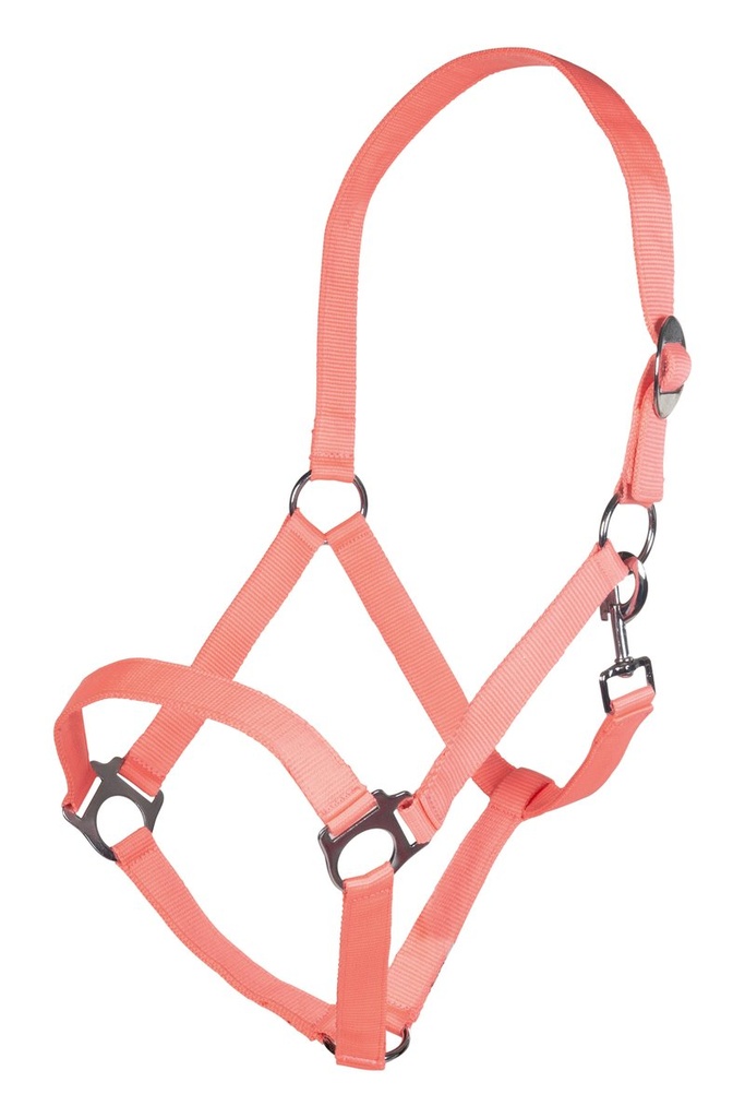 [27868042.0618] Licol -Stars Economy Softice- (Orange fluo, Poney)