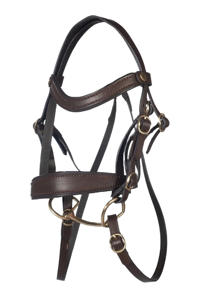 Bridon -Hobby Horsing Basic-
