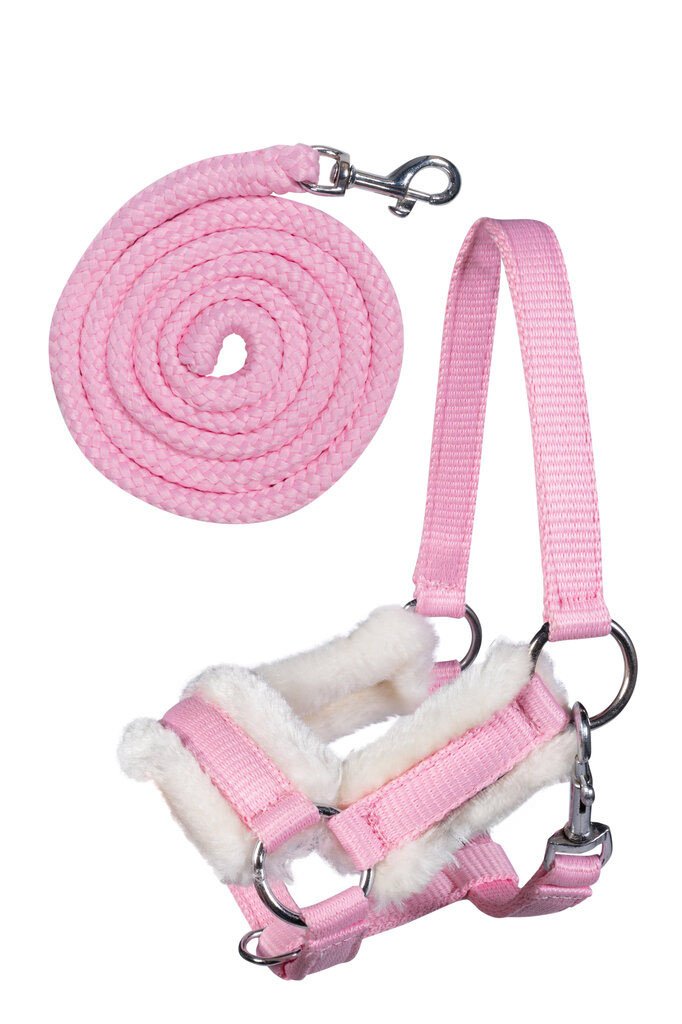 [137513800.0001] Licol et longe -Hobby Horsing- (Rose)