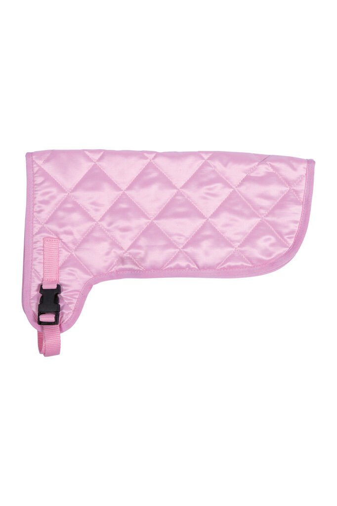 Couverture -Hobby Horsing-