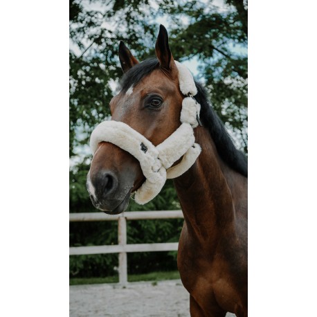 Licou I love you EQUITHÈME - Snuggy