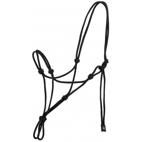 Licol éthologique NORTON - Nylon (Beige)