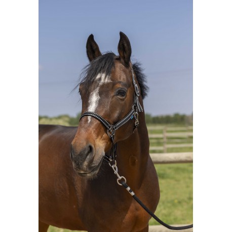 Licol NORTON - Grooming (Vert foncé, Poney)