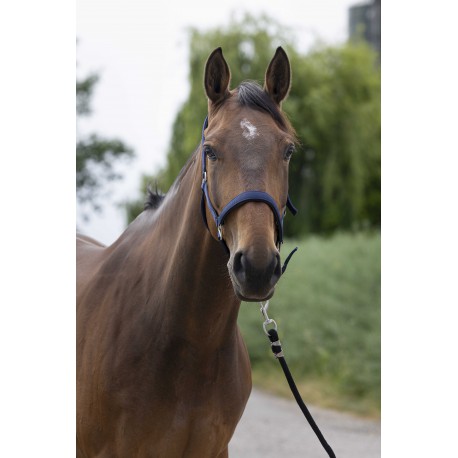 Licol NORTON - Satine (Bleu canard, Poney)