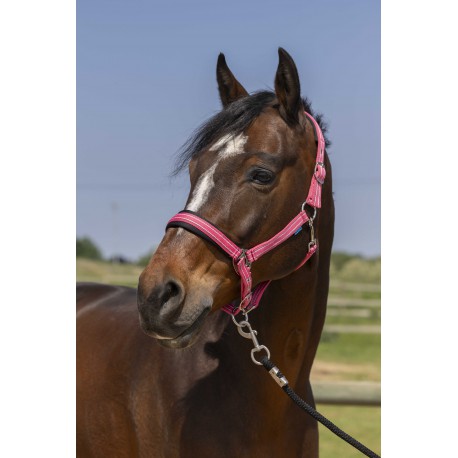 Licol NORTON - 4lines (Vert foncé, Poney)