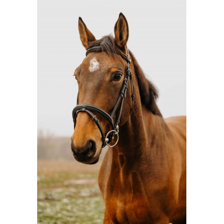 Bridon NORTON CLUB - Easy (Havana, Pur-sang/cob)