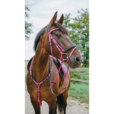 Bridon endurance NORTON - Pop (Bleu roi, Pur-sang/cob)