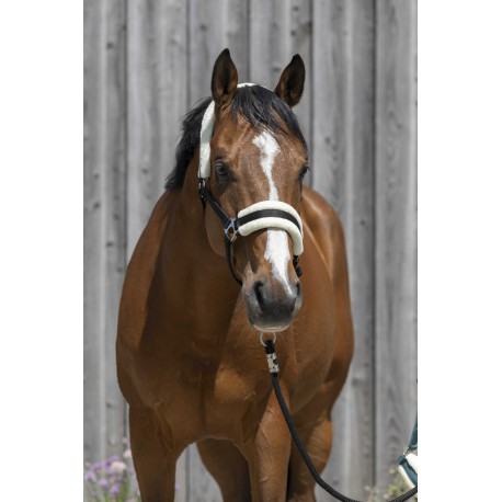 RIDING WORLD Licol peau de mouton synthétique (Vert foncé, Poney)
