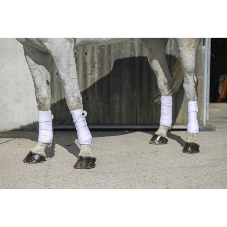 RIDING WORLD Bandes polo - Eco