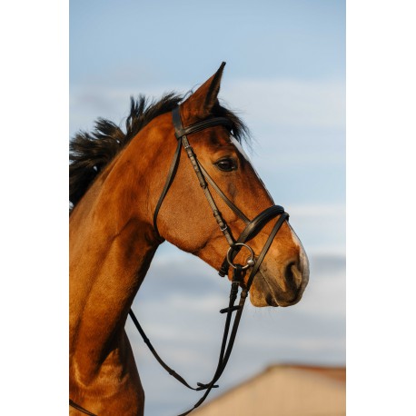 RIDING WORLD Bridon - Muserolle combinée doublée (Havana, Poney)