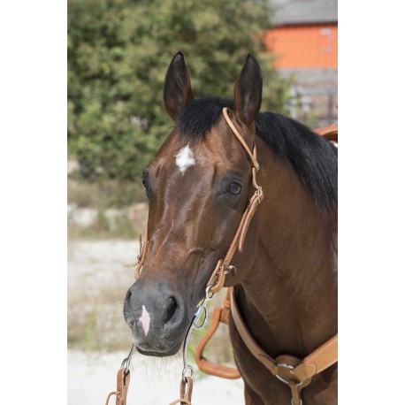 Bridon WESTRIDE by Franck Perret - 1 oreille (Noisette)