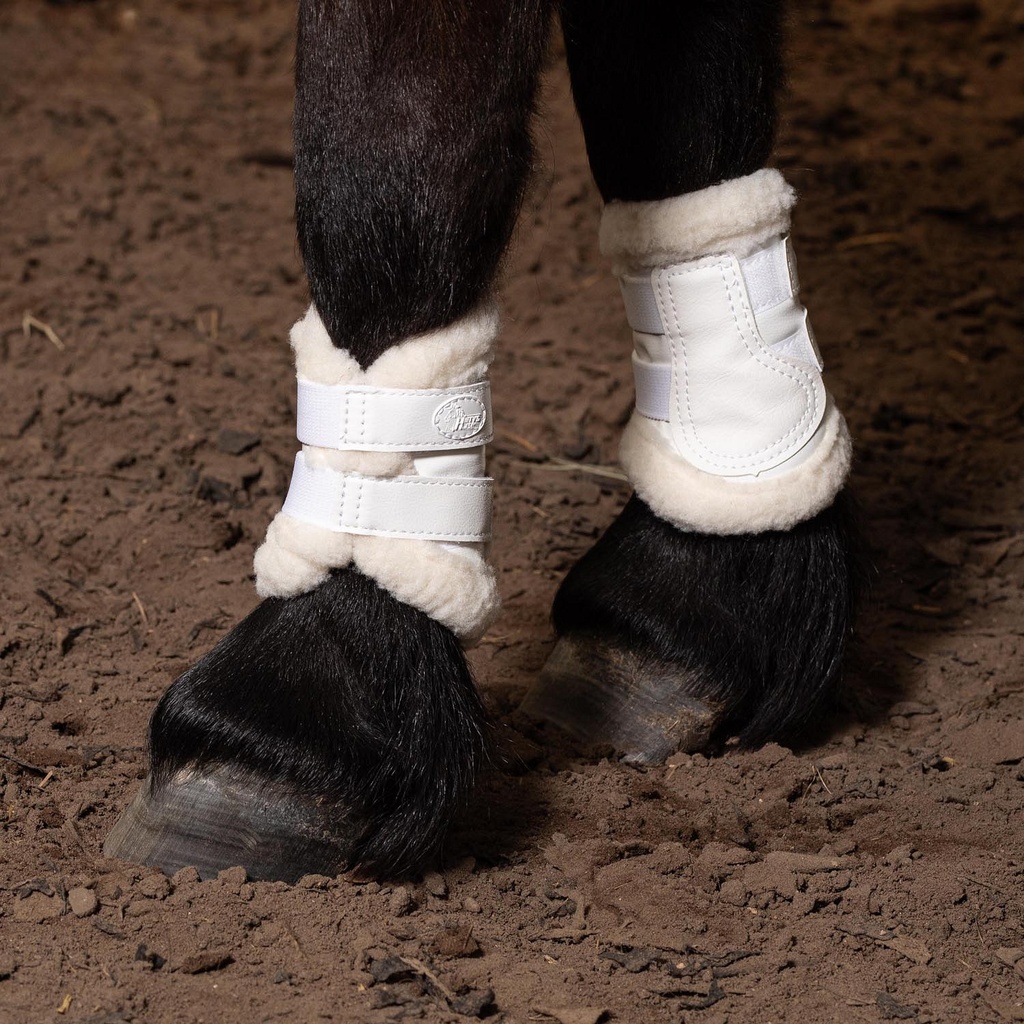 Tendon bottes Flextrainer Tiny Air