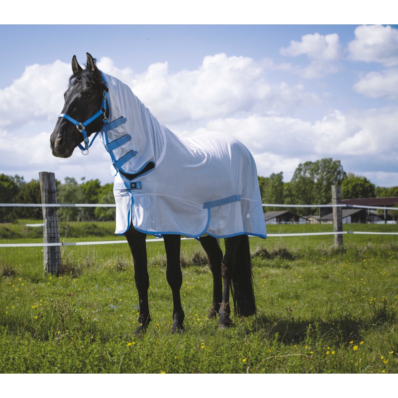 [400000146] Chemise filet RIDING WORLD - Combo (Blanc, 4'6/100cm)