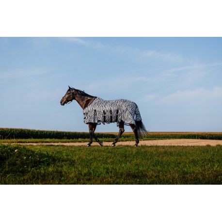 RIDING WORLD Chemise - Maille Ventrale