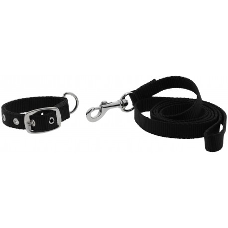 RIDING WORLD Collier et laisse pour chien - Oscar