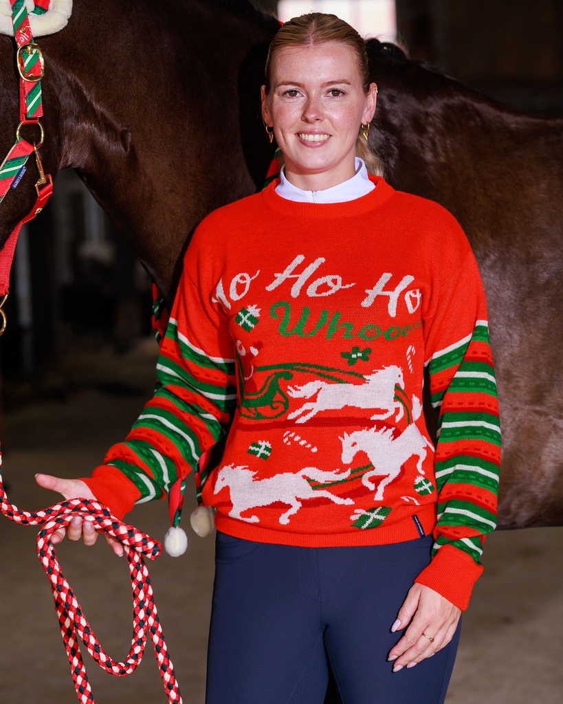 Joyeux Noël Sweater Christmas