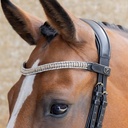 Frontal Clincher