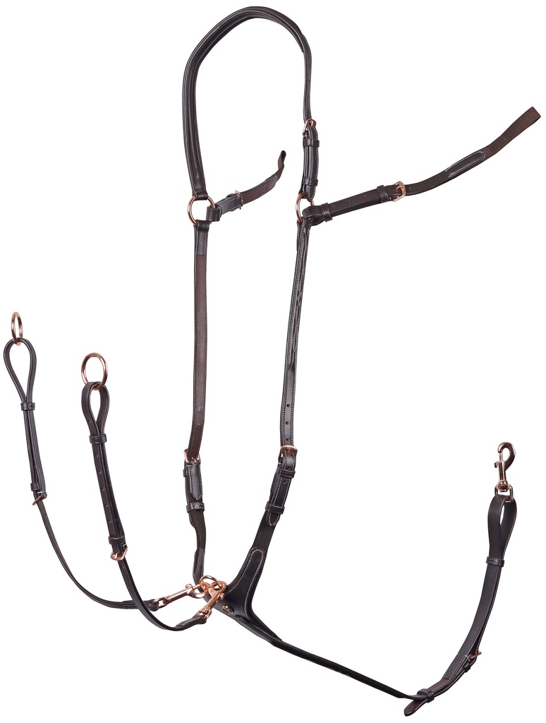 Collier de chasse Rosegold