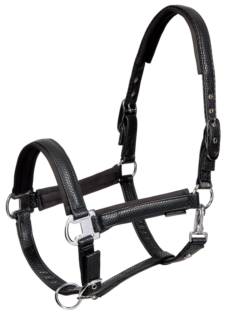 Licol Weave Tressé Simili Cuir