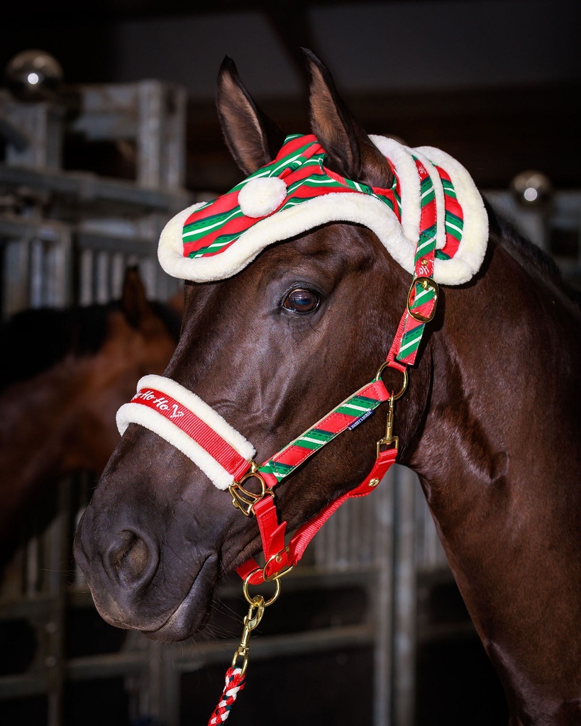 Licol, Longe et Bonnet Christmas