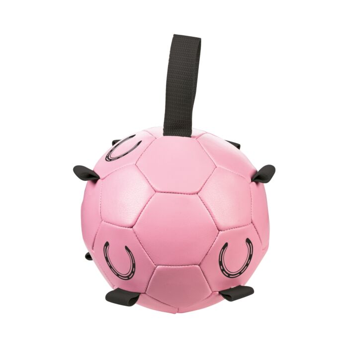 [15241] Ballon de jeu pour chevaux -Fun-