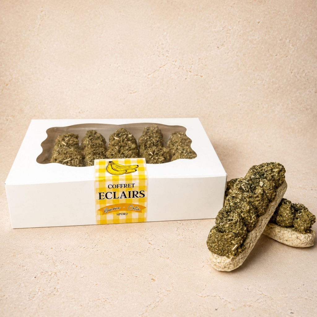 [ENB-RX34QG6210242] Coffret 5 Eclairs Sport