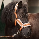 Licol et longe Soft STOUT! Maverick