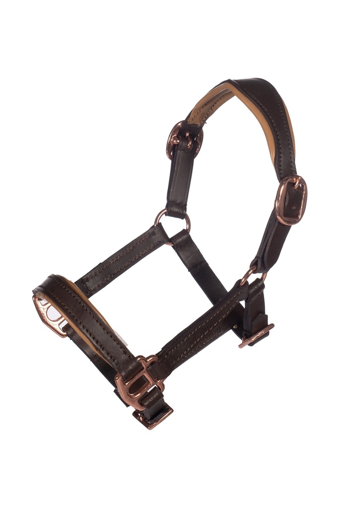 Licol en cuir Or rose -Hobby Horsing-