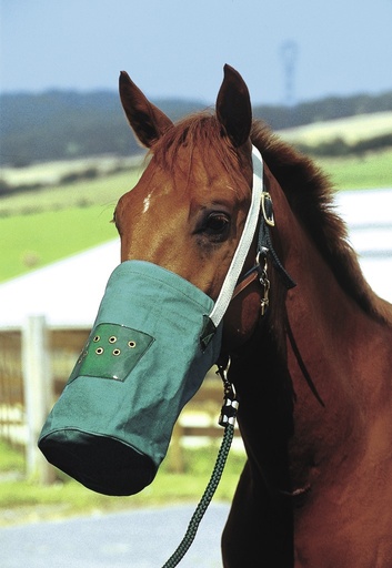 Musette canvas HIPPOTONIC