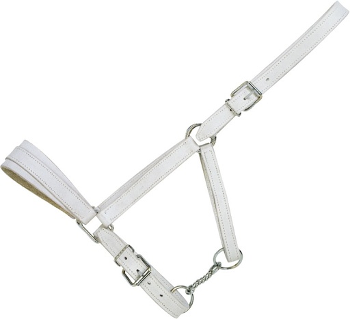 [510320] Licol cuir chromé NORTON CLUB