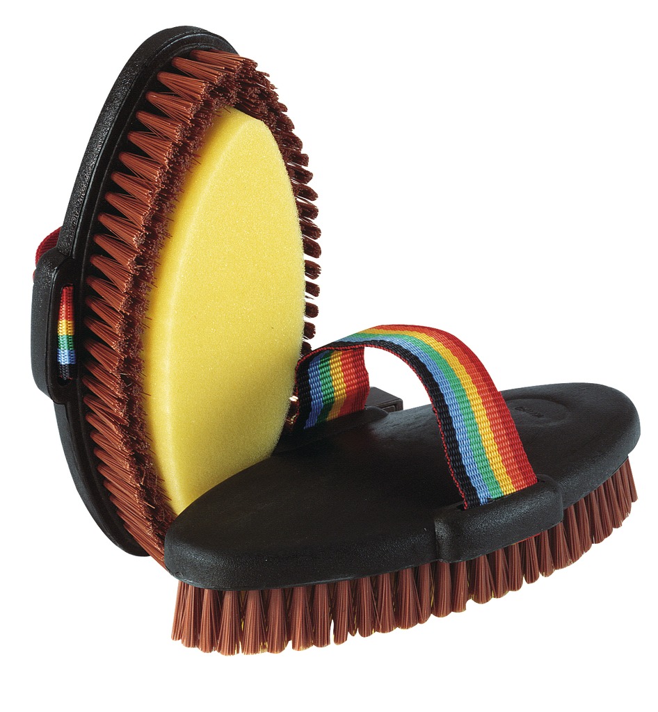 [700152] Brosse éponge HIPPOTONIC dos P.V.C.