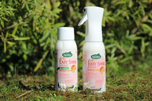 [718010] Easy Shine RAVENE Intense, Recharge