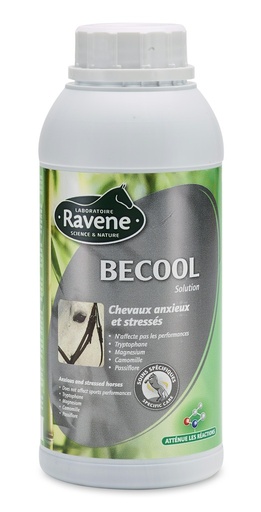 [718032] Becool RAVENE
