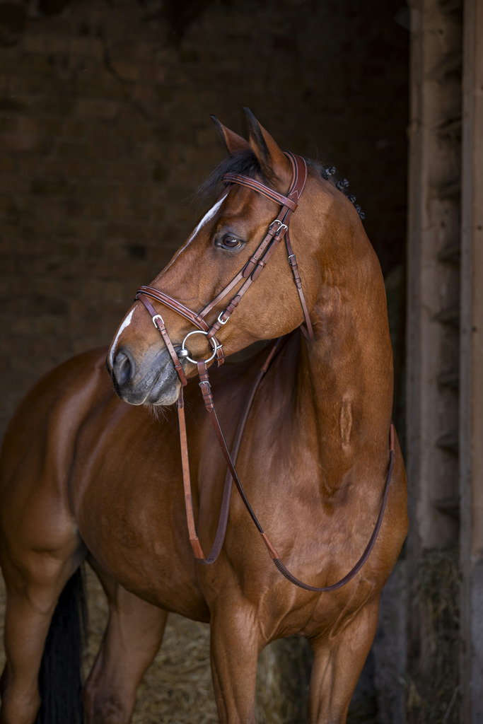 Bridon ERIC THOMAS HYBRID "Forme"