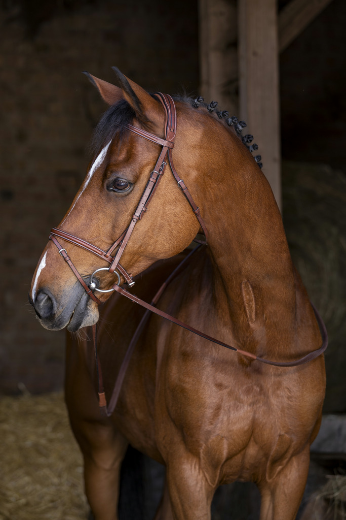 Bridon ERIC THOMAS HYBRID "Confort"
