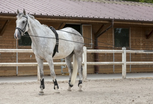 Longues rênes RIDING WORLD cuir/corde